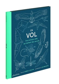 EN VOL - CES ANIMAUX AILÉS QUI BATTENT DES RECORDS