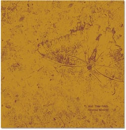 Vanessa Winship and time folds