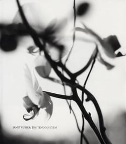 Janet russek: the tenuous stem