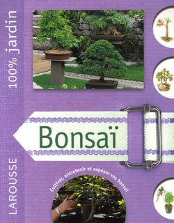 Bonsaï