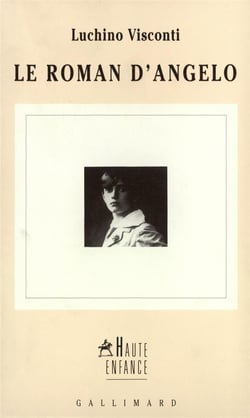 Le roman d'angelo