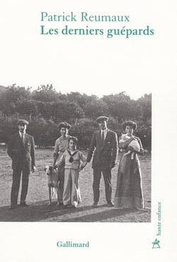Les derniers guépards