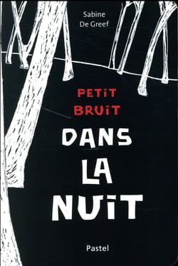 petit bruit dans la nuit