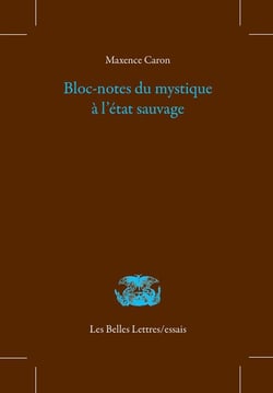 Bloc-notes du mystique à l'état sauvage