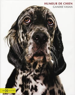 Humeur de chien