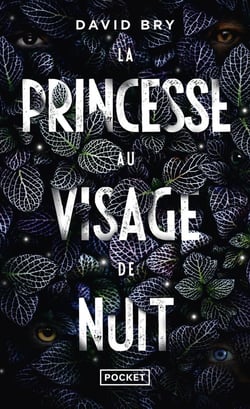 La princesse au visage de nuit