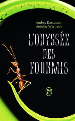 L'odyssée des fourmis