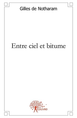 Entre ciel et bitume : 42,195 bornes d'un marathon poétique