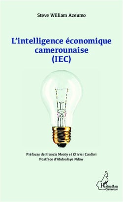 L'intelligence économique camerounaise (IEC)
