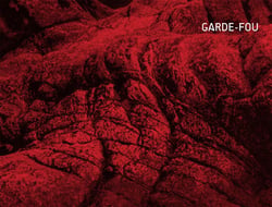 Garde-fou