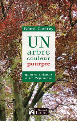 Un arbre couleur pourpre - quatre saisons à la pépinière