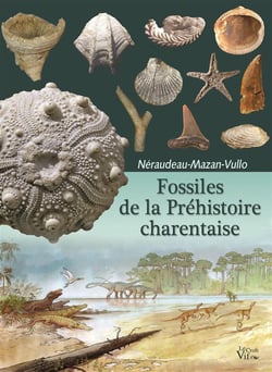 FOSSILES DE LA PREHISTOIRE