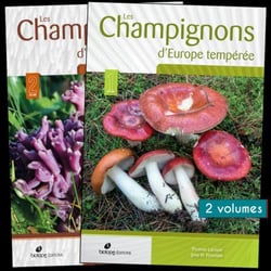 Les champignons d'Europe tempérée (2e édition)