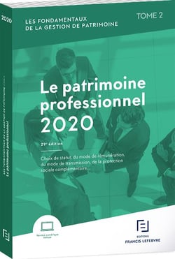 LE PATRIMOINE PROFESSIONNEL 2020