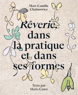Rêverie, dans la pratique et dans ses formes