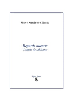 Regards ouverts : carnets de tableaux