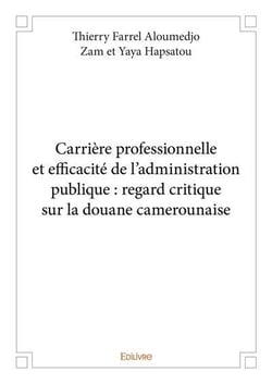 Carriere professionnelle et efficacite de l'administration publique : regard critique sur la douane