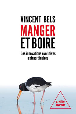 Manger et boire : Des innovations évolutives extraordinaires