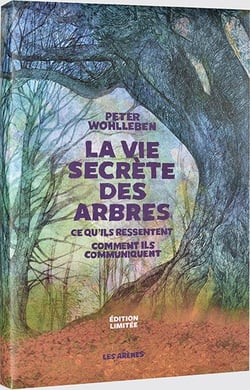 La vie secrète des arbres - ce qu'ils ressentent, comment ils communiquent