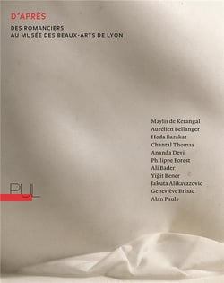 D'apres - des romanciers au musee des beaux-arts de lyon