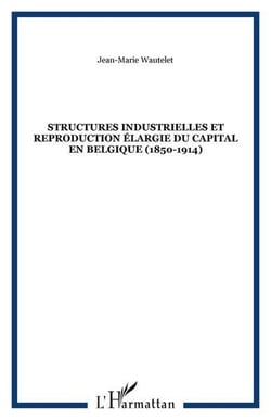 Structures industrielles et reproduction elargie du capital en belgique (1850-1914)