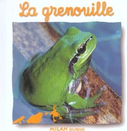 Grenouille (la)