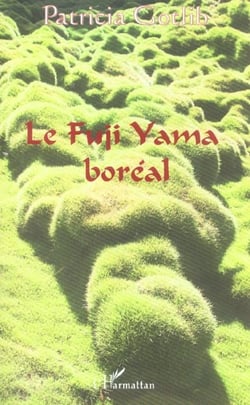 Le Fuji Yama boréal
