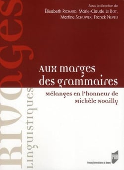 Aux marges des grammaires - mélanges en l'honneur de Michèle Noailly