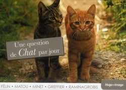 Une question de chat par jour (édition 2013)