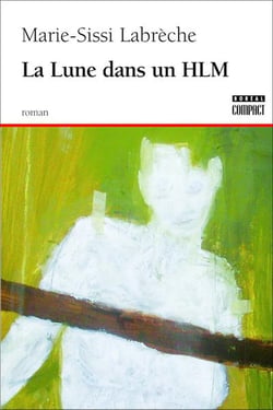 La lune dans un HLM