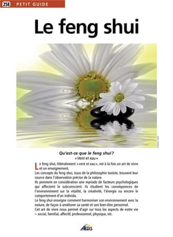 Le feng shui