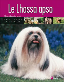 Lhassa apso