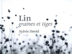 Lin - graines et tiges