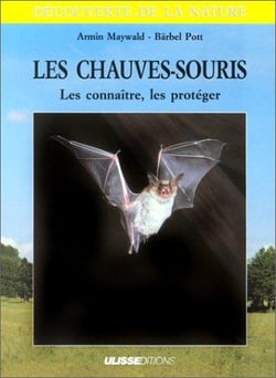 Chauve souris