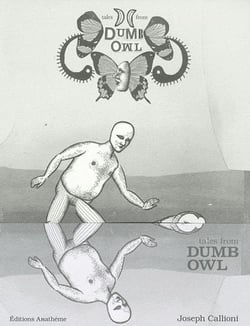 Tales from dumb owl