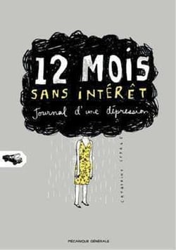 12 mois sans interet - journal d'une depression
