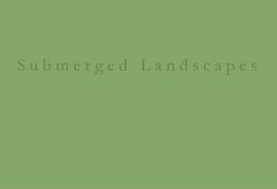 Submerged landscapes - a pinhole photographic tale
