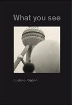 Luciano rigolini what you see