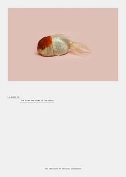 Robert zhao renhui a guide to the flora and fauna of the world