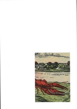 Julian irlinger fragments of a crisis