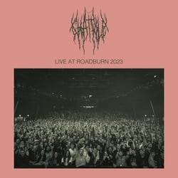 Live at Roadburn 2023 - édition colorée