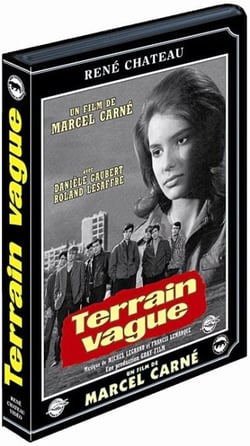 Terrain vague