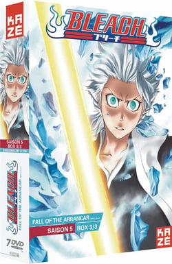 Bleach - Saison 5 : Box 3/3 : Fall of the Arrancar (2ème partie)