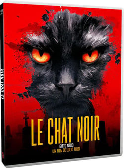 Le Chat noir