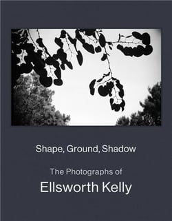 Shape, ground, shadow : The photographs of Ellsworth Kelly