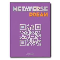 Metaverse dream