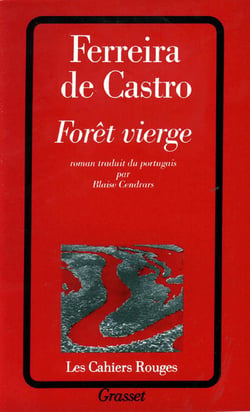 Forêt vierge