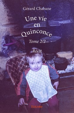 Une vie en quinconce Tome 2