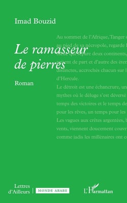 Le ramasseur de pierres