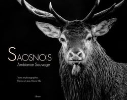 Saosnois : ambiance sauvage